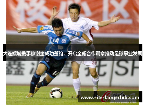大连鲲城携手穆谢奎成功签约，开启全新合作篇章推动足球事业发展