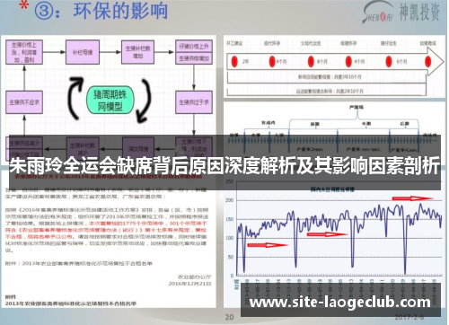 朱雨玲全运会缺席背后原因深度解析及其影响因素剖析