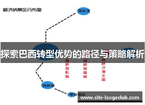 探索巴西转型优势的路径与策略解析