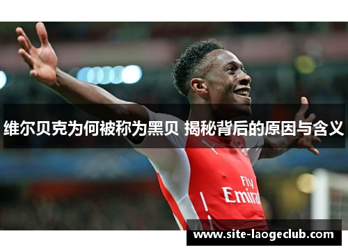 维尔贝克为何被称为黑贝 揭秘背后的原因与含义