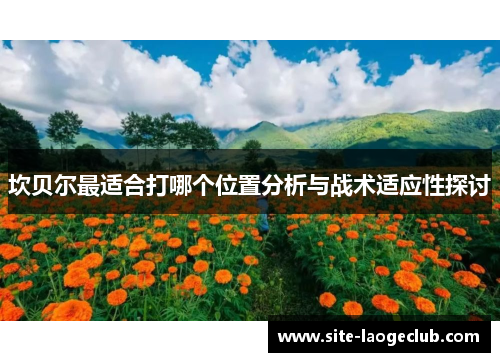 坎贝尔最适合打哪个位置分析与战术适应性探讨