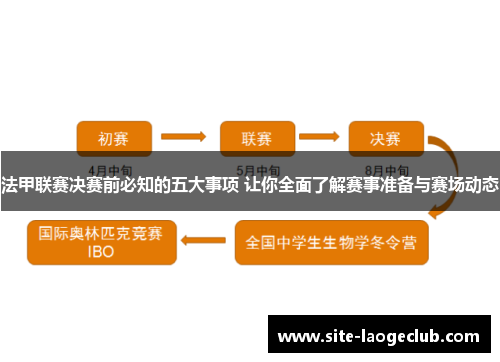 法甲联赛决赛前必知的五大事项 让你全面了解赛事准备与赛场动态