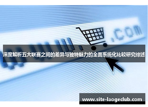 深度解析五大联赛之间的差异与独特魅力的全面系统化比较研究综述