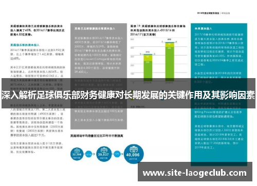 深入解析足球俱乐部财务健康对长期发展的关键作用及其影响因素